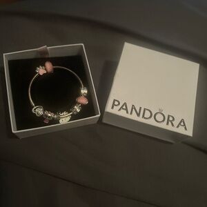 Pandora Rose and Silver Charm Bracelet 18 inch